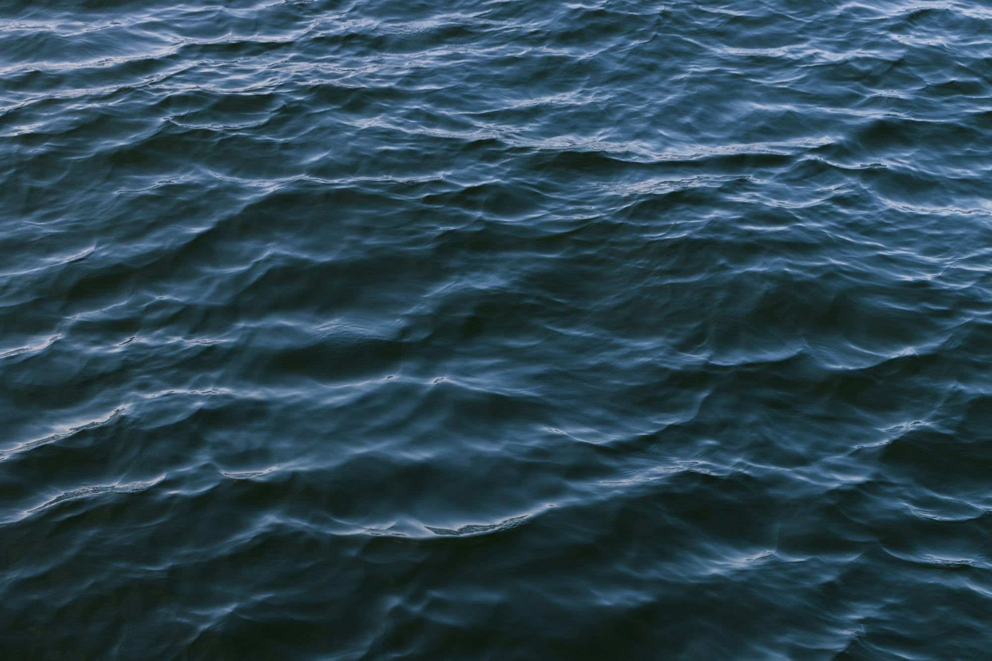 DeepSeek-R1, at the cusp of an open revolution