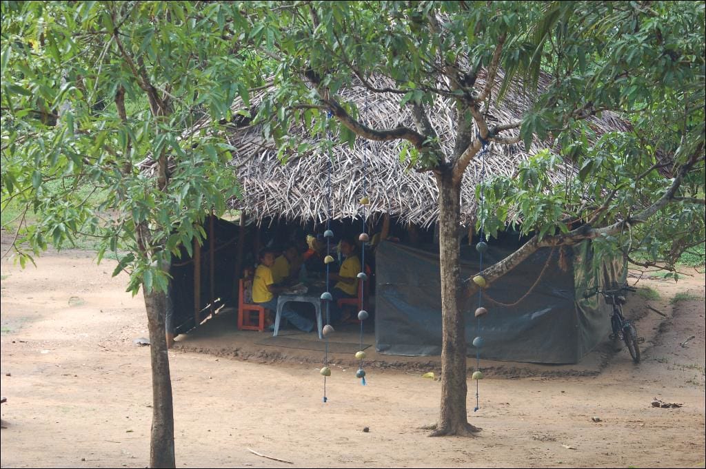 Mahavilachchiya — day two